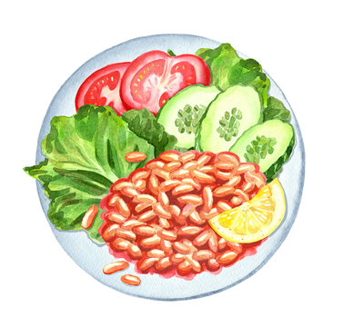 Beans In Sauce, Tomato, Cucumber Slices, Lettuce Leaves And Lemon On Plate. Watercolor Food Illustration. Proper Nutrition