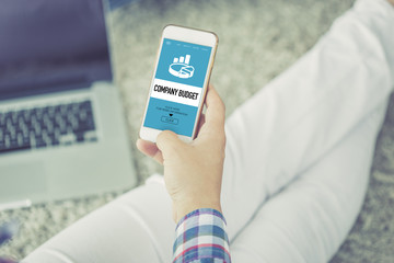 COMPANY BUDGET CONCEPT