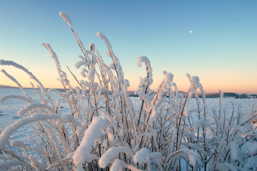 Farben am Winterhimmel