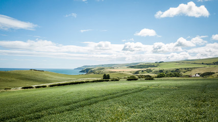 Fototapeta premium Northumberland Coast national park. A summer view over the gently rolling English countryside where the natural coastline meets the North Sea. 