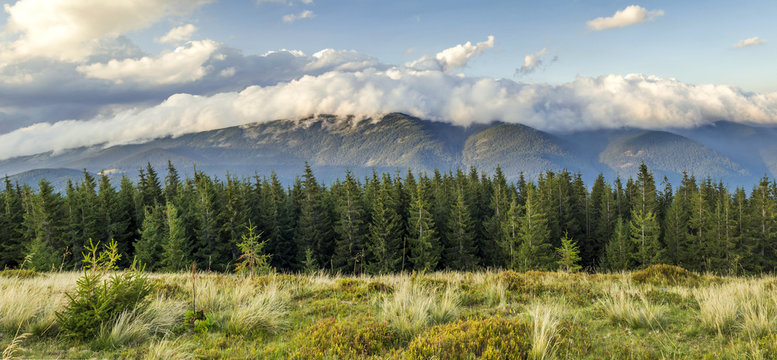 Fototapeta Beautiful dramatic white clouds over mountains. Forest hills in Carpathian mountains. Ukraine.