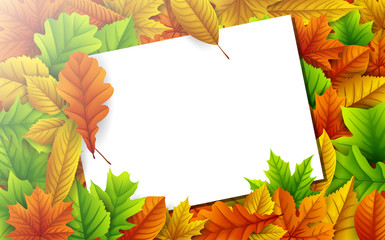 Naklejka na ściany i meble Colorful autumn leaves with blank paper card