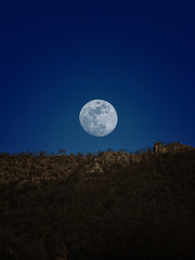 Luna piena