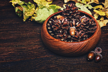 Autumn still life
