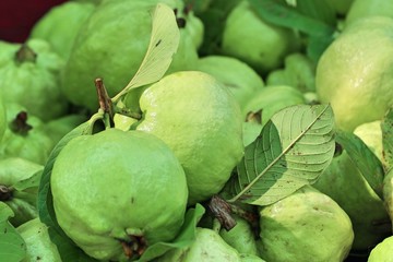Guava fruit