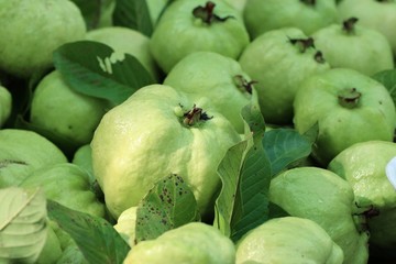 Guava fruit