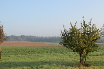 Landleben