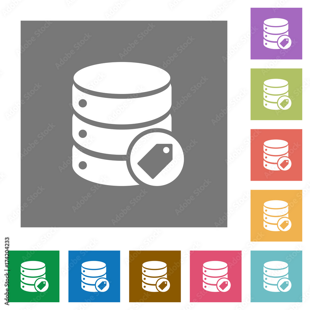 Poster database tag square flat icons