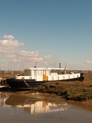 parked moored white and black boat in dockland marshland
