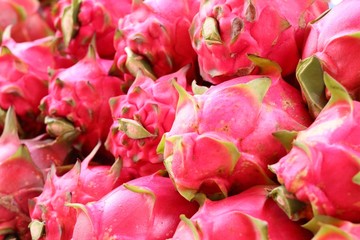 dragon fruit at street road