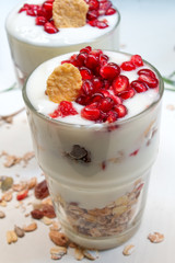 yogurt and granola cup