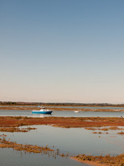 estuary scene river with boats traveling through sunny day