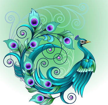 Vector illustration beautiful green peacock modification