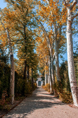 Jardines Boboli. Florencia Italia.