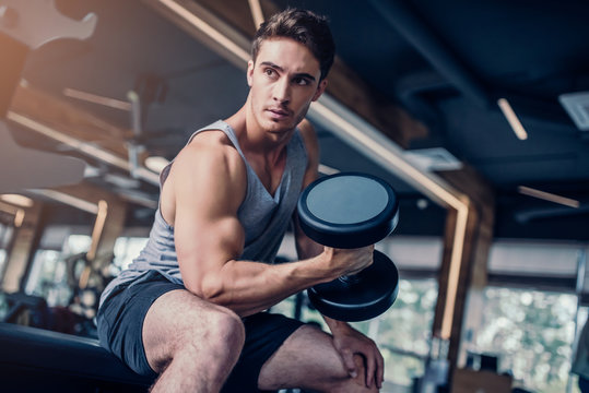 Sports Man In Gym