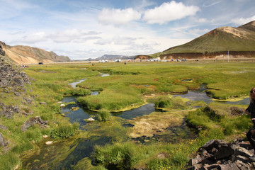 Fototapeta na wymiar Islande, Landmannanager, Tourbière dans la morène 