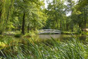 waldsee