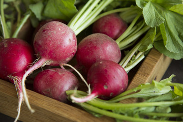 Radishes