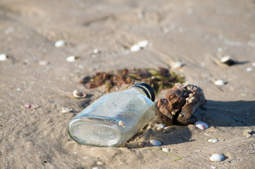 Empty Glass Bottle on the Beach
