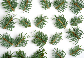 christmas tree branches on a white background for holiday decoration