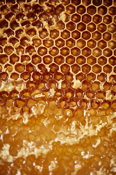 honeycomb