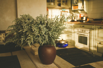 Mysterious bitter wormwood in an old clay pot in the old countryside province house interior