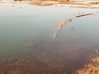 submerged wooden walkway in dockland in sea water