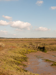 open landscape marshland scene outside empty no people grass and sky