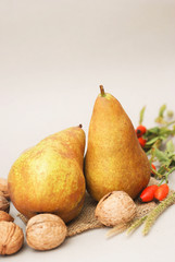 Autumn pears with nuts. Rustic autumn composition.
