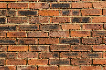 Obraz premium Tło tekstura ściany z cegły