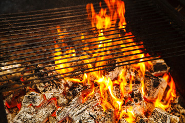 Burning logs in fire grid on top, cast iron grill