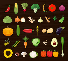 Set of different kinds of vegetables icons. Collection of flat design icons presenting different types of vegetables isolated on brown background. 