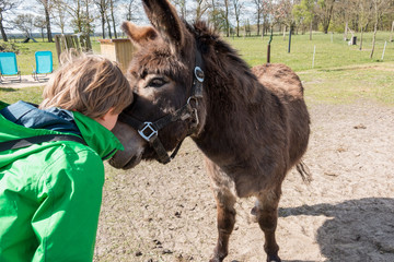 Kid cuddling with a donkey
