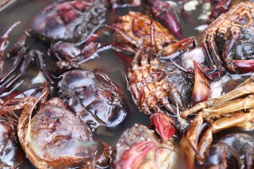 crab at street food