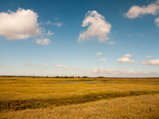 Fototapeta na wymiar open marshland landscape scene with blue skies, clouds, and grass