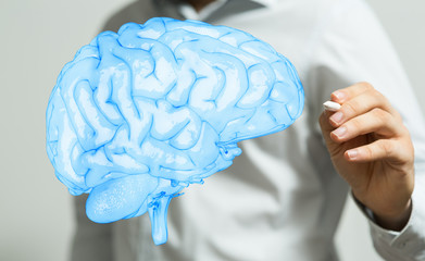 brain