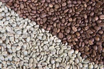 coffee beans background group of green and roasted arabica coffee beans concept of coffee state and agriculture