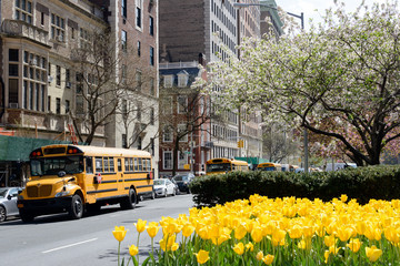 Obraz premium Schulbus in New York im Frühling