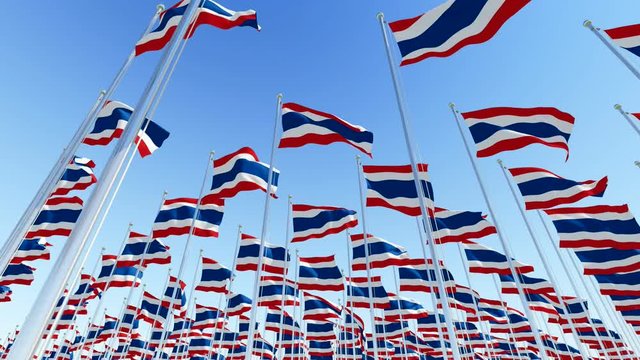 Many Thailand flags on flagpoles against blue sky. Three dimensional rendering 3D rendering animation.