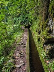Wanderung durch die Levada do Rei auf Madeira