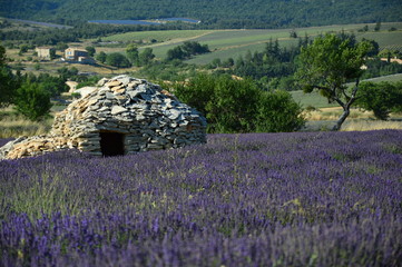 Fototapeta na wymiar Borie en South of France ,Provence