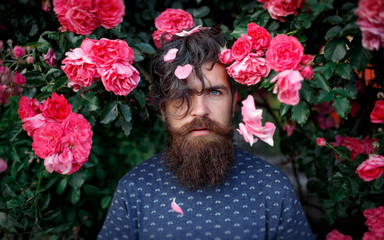 Beautiful bearded man with blue eyes and a stylish hairdo standing near a bush of roses