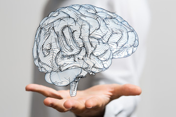 brain