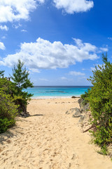 Obraz premium Pathway to the Beach