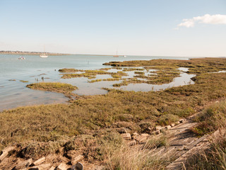 marshland coastal scene essex tollesbury estuary boats in river sea