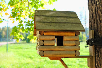 wooden birdhouse on a tree