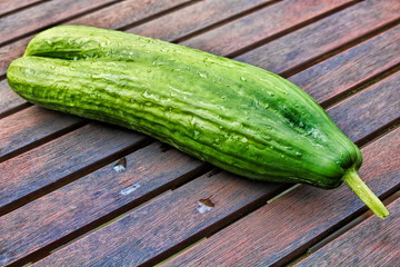 Salatgurke