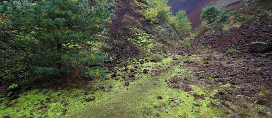au coeur d'un volcan auvergnat