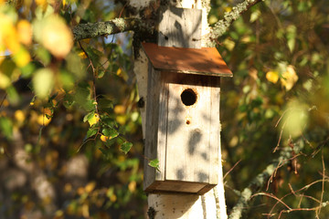 Bird house
