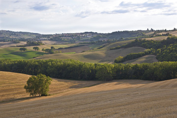 Toscana